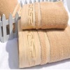 New style 100% cotton towels