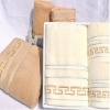 New style 100% cotton towels