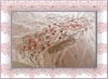 Newest  Mulberry  silk quilt
