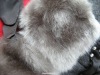 Nice Fake fur plush