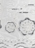 Nice embroidery design with sequins for wedding dress