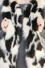 Nice jacquard  Faux fur plush fabric