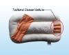 Non-Magnetic Health Pillow--traditional chinese medicine