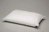 Non-Woven Pillow Case