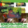 Non-Woven Weed Control fabric for Agriculture Cover