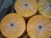 Non-woven Fabric