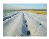 Nonwoven Agriculture covering cover