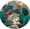 Nonwoven items