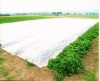 Nonwovens for agriculture crop covering