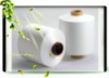 Nylon 6 yarn supplier