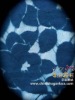 Nylon / Cotton lace fabric