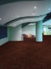 Nylon Floor Carpet Covering for Convention Center