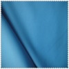 Nylon/Spandex 85/14 Shiny Fabric