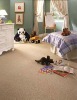 Nylon Tufted Home Carpet