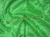 Nylon green Velvet Fabric