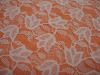 Nylon lace fabric