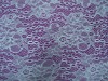 Nylon lace fabric DL-1532