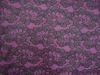 Nylon lace fabric DL5311-1