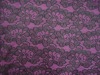 Nylon lace fabric DL5311-1