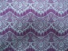 Nylon lace fabric DL6023