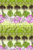 Nylon spandex fabric with flowers