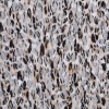 Nylon stretch animal print lace fabric