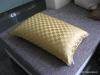 (OEKO-TEX) 100% Mulberry  Silk Filled Pillow