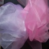 Organza