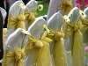 Organza Sash