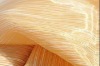 Organza curtain fabric,