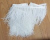 Ostrich Feather Trim