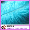 Ostrich Feather for decoration