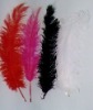 Ostrich Spads - Ostrich Feather Spads