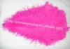 Ostrich feather