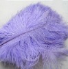 Ostrich feather, Ostrich feather trimming, colorful Ostrich feather, grizzly rooster feathers