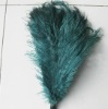 Ostrich feather, feather extensions, grizzly rooster feathers