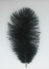 Ostrich feather, feather extensions, grizzly rooster feathers