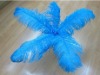 Ostrich feather, feather extensions, grizzly rooster feathers