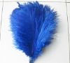 Ostrich feather, feather extensions, grizzly rooster feathers