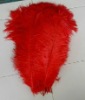 Ostrich feather, feather extensions, grizzly rooster feathers