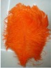 Ostrich feather, feather extensions, grizzly rooster feathers