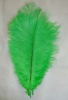 Ostrich feather for sale, natural ostrich feather, real feather decroation