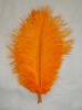 Ostrich feather for sale, natural ostrich feather, real feather decroation