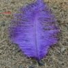 Ostrich feather for sale, natural ostrich feather, real feather decroation