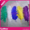 Ostrich feather for wedding,garment etc.