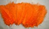 Ostrich feather, natural ostrich feather, feather decroation