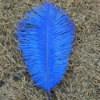 Ostrich feather, natural ostrich feather, real feather decroation