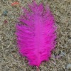 Ostrich feather, natural ostrich feather, real feather decroation