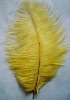 Ostrich feather, natural ostrich feather, real feather decroation