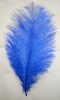 Ostrich feather, natural ostrich feather, real feather decroation